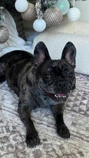 Judith Martinez review image